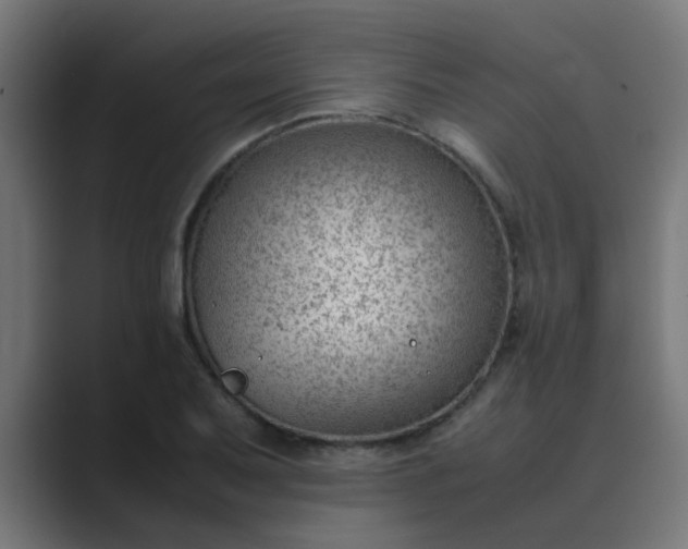 X0000089461079200706291457