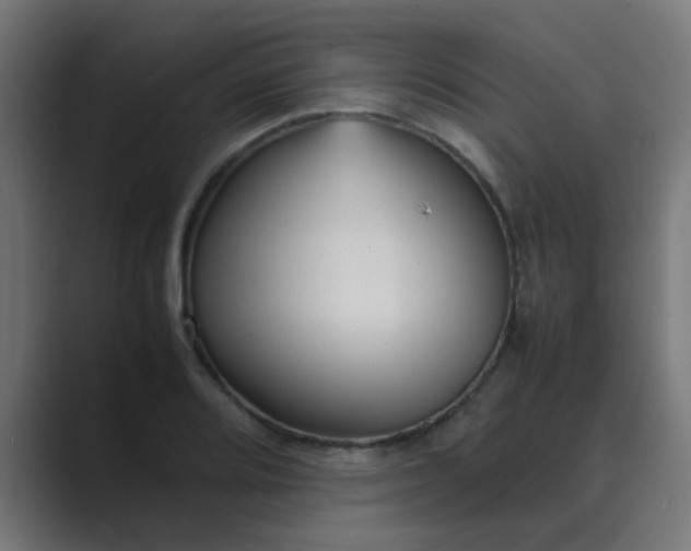 X0000089461080200706291457