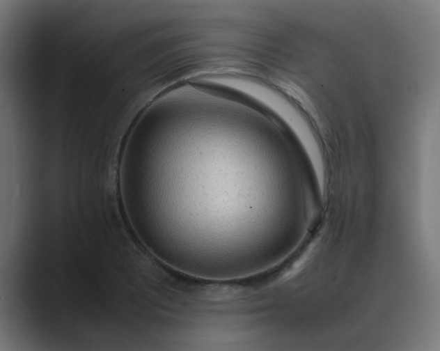 X0000089461081200706291457