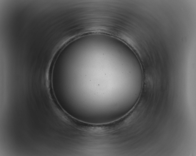 X0000089461082200706291457
