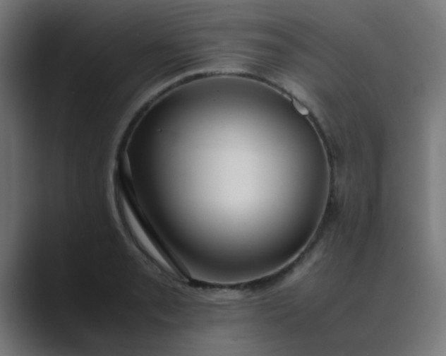 X0000089461085200706291457