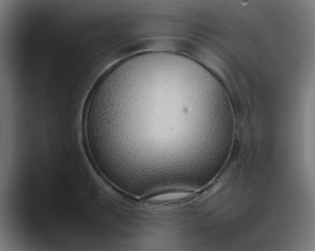 X0000089461087200706291457