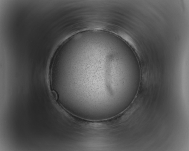 X0000089461088200706291457
