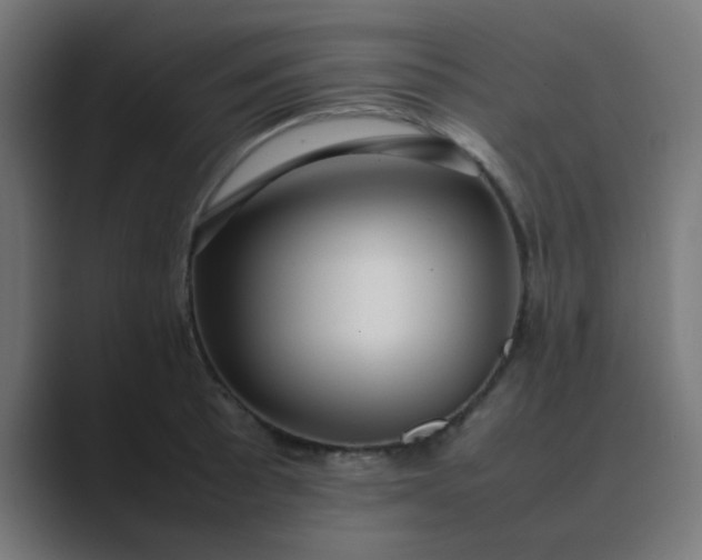 X0000089461089200706291457