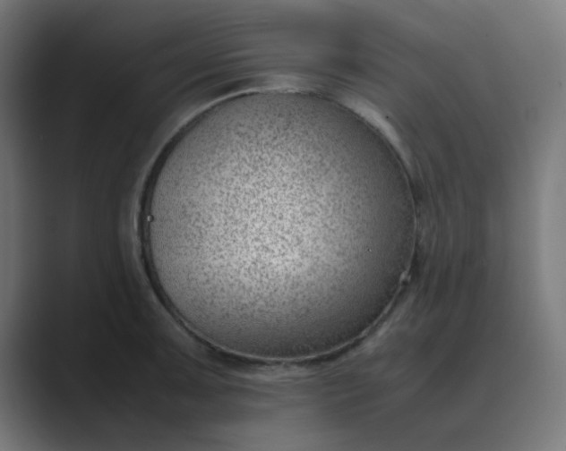 X0000089461091200706291457