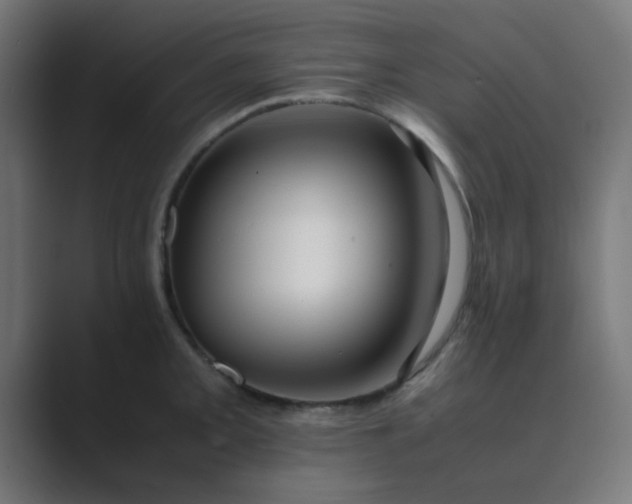 X0000089461093200706291457