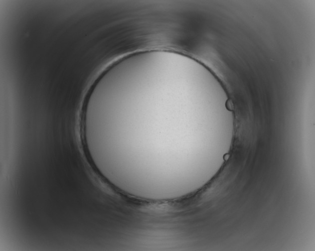 X0000089461094200706291457