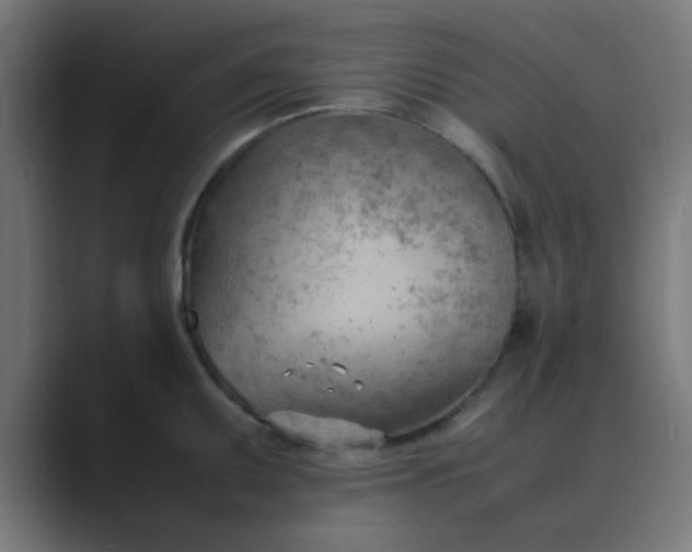 X0000089461095200706291457