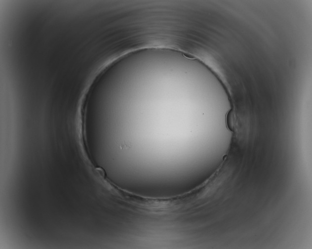 X0000089461096200706291457
