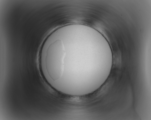 X0000089461098200706291457