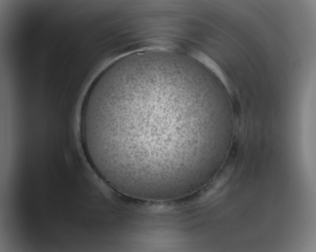 X0000089461099200706291457