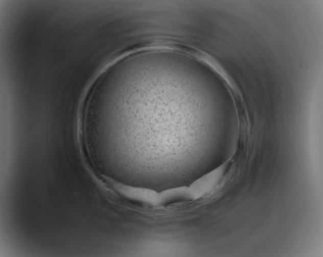 X0000089461101200706291457
