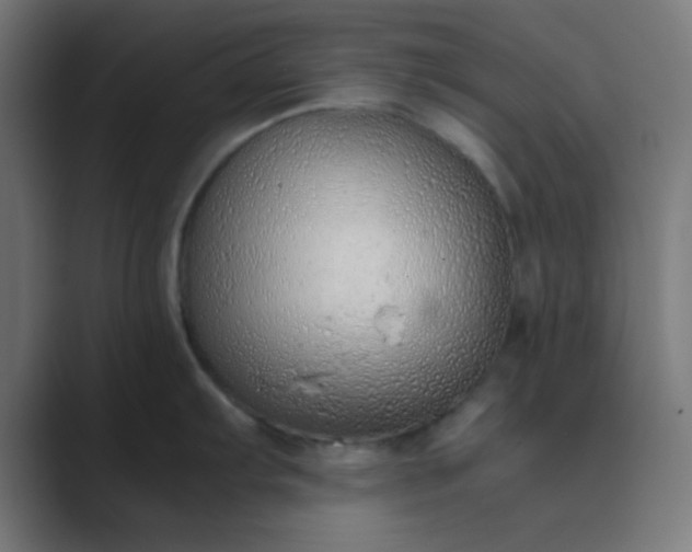 X0000089461103200706291457