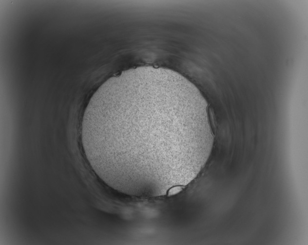 X0000089461105200706291456
