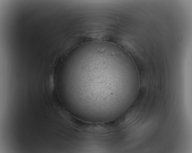 X0000089461106200706291456