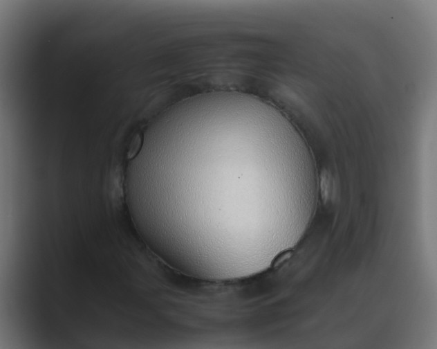 X0000089461107200706291456