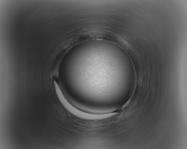 X0000089461108200706291456
