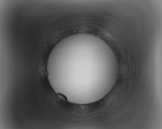 X0000089461109200706291456