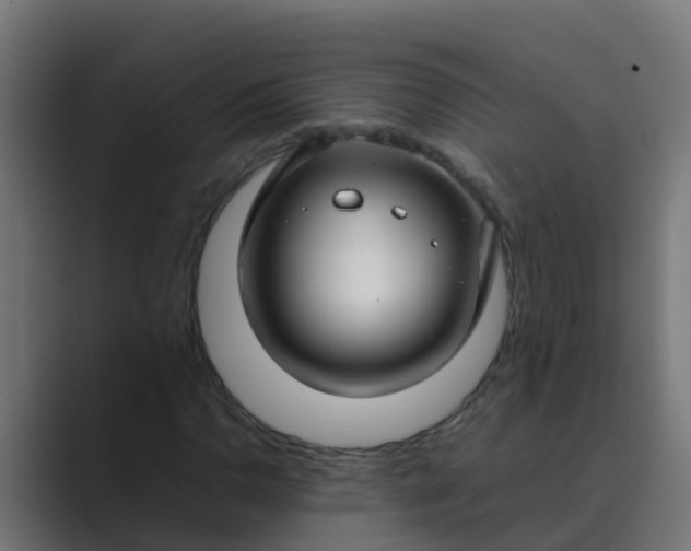 X0000089461110200706291456