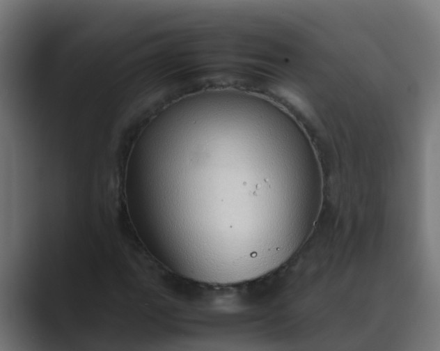 X0000089461111200706291456