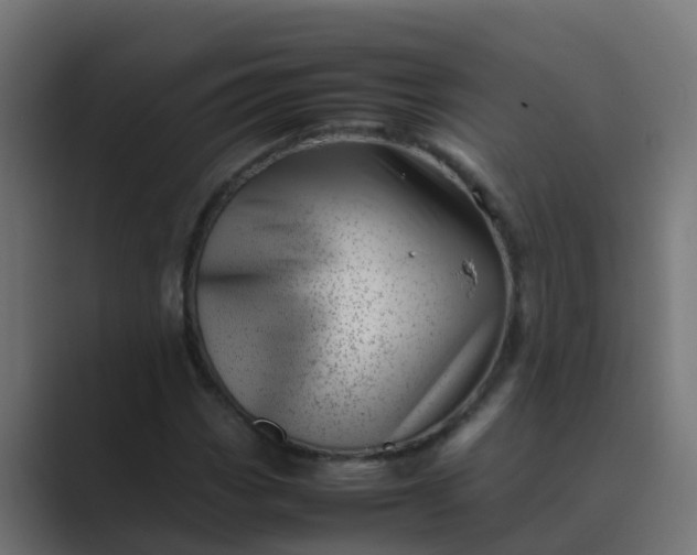 X0000089461113200706291456