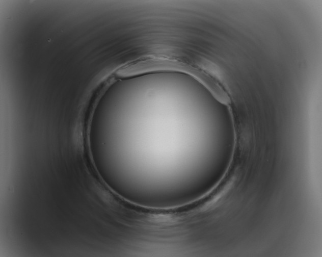 X0000089461114200706291456