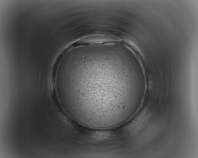 X0000089461117200706291456