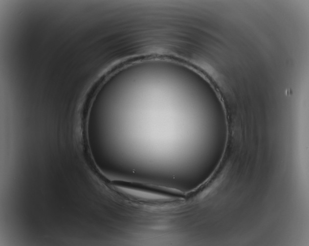 X0000089461118200706291456