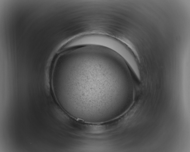X0000089461120200706291456