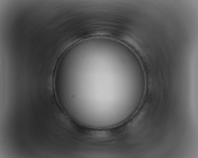 X0000089461121200706291456