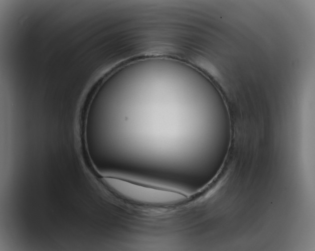 X0000089461122200706291456