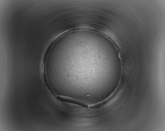 X0000089461125200706291456