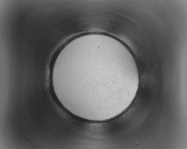 X0000089461126200706291456