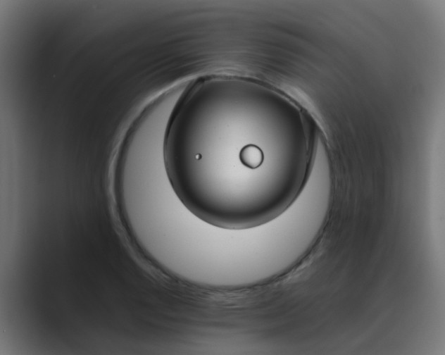 X0000089461128200706291456