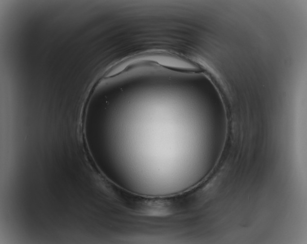 X0000089461129200706291456