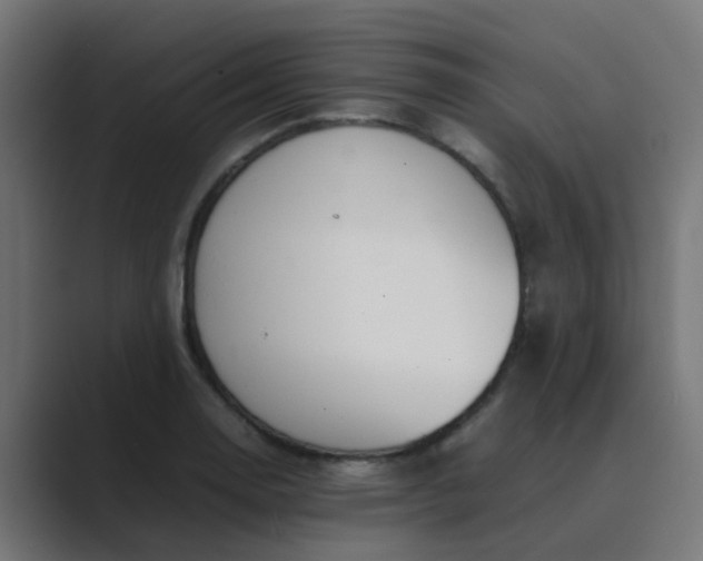 X0000089461130200706291456