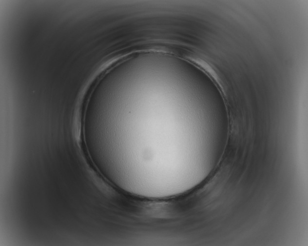 X0000089461131200706291456