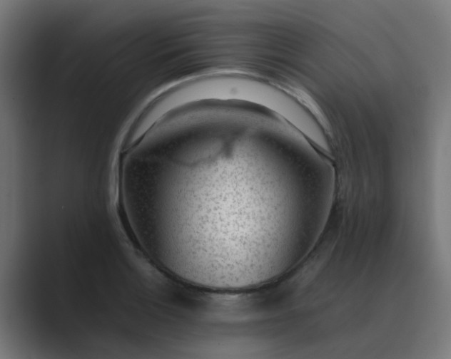 X0000089461132200706291456