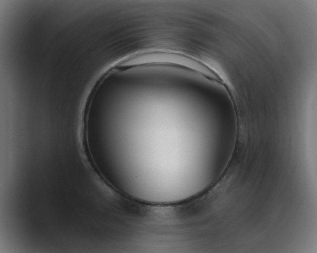 X0000089461136200706291456