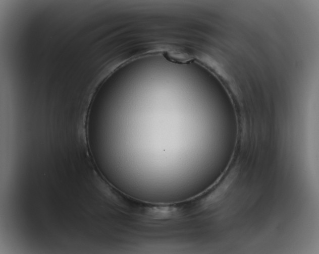 X0000089461137200706291456