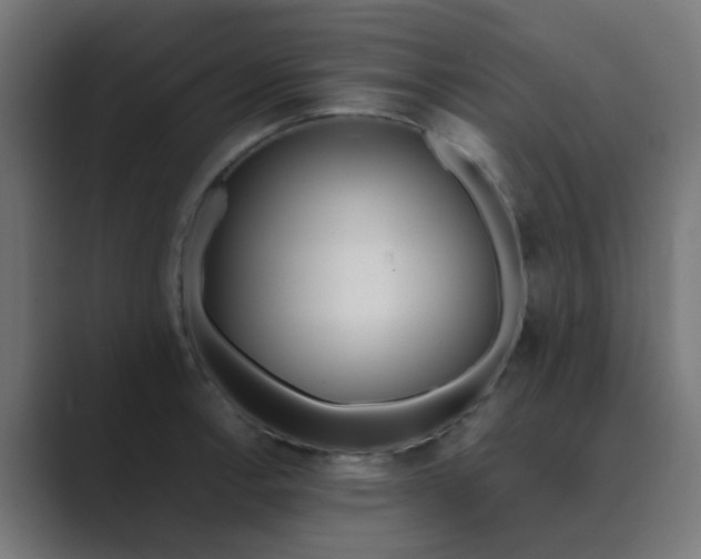 X0000089461138200706291456