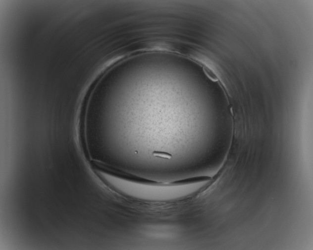 X0000089461139200706291456