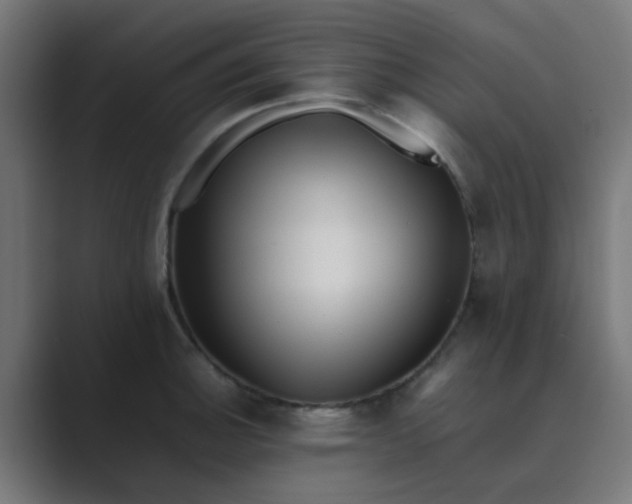 X0000089461140200706291456