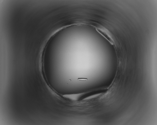 X0000089461143200706291456