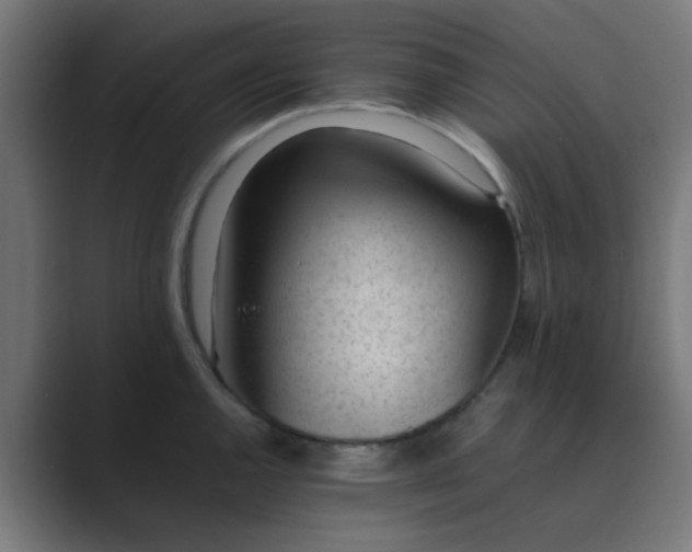X0000089461144200706291456