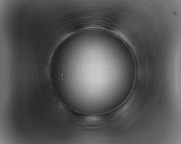 X0000089461145200706291456