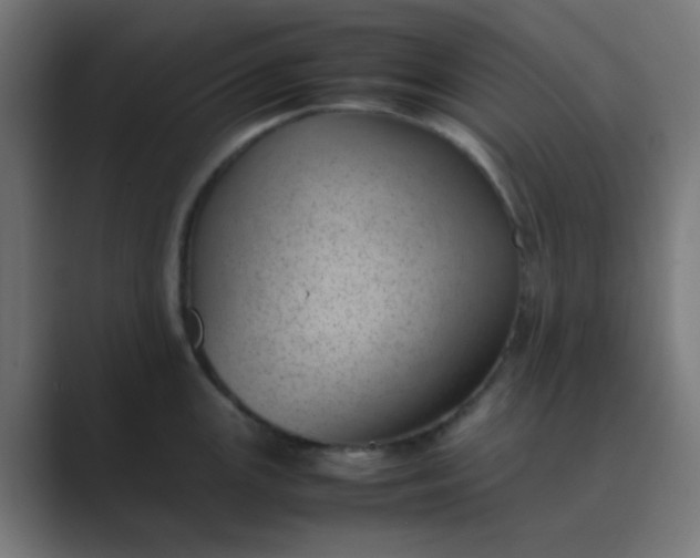 X0000089461147200706291456