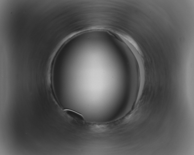 X0000089461148200706291456
