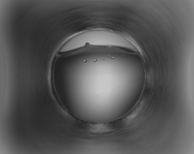 X0000089461149200706291456