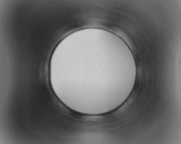 X0000089461150200706291457